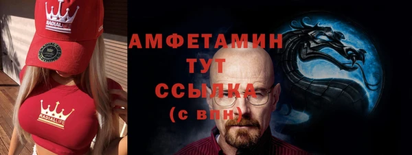 спайс Каменка