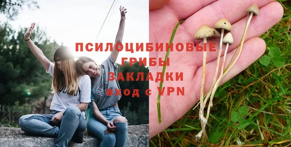 мескалин Каменногорск